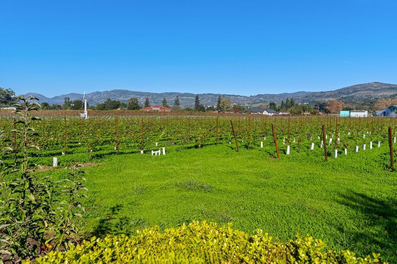 Monticello Road Home with Scenic Vineyard Views property image