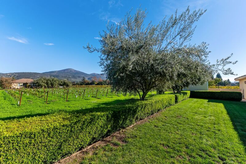 Monticello Road Home with Scenic Vineyard Views property image