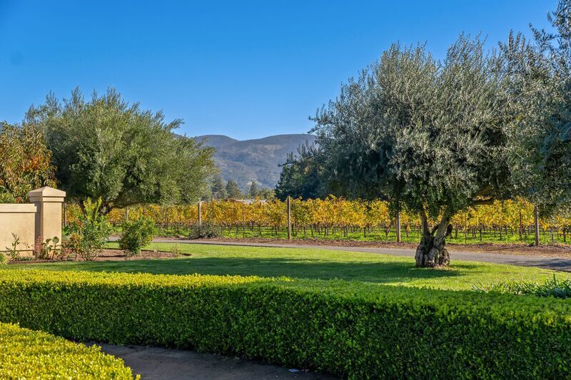 Monticello Road Home with Scenic Vineyard Views property image