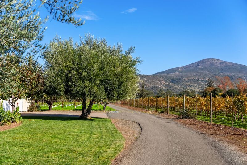 Monticello Road Home with Scenic Vineyard Views property image