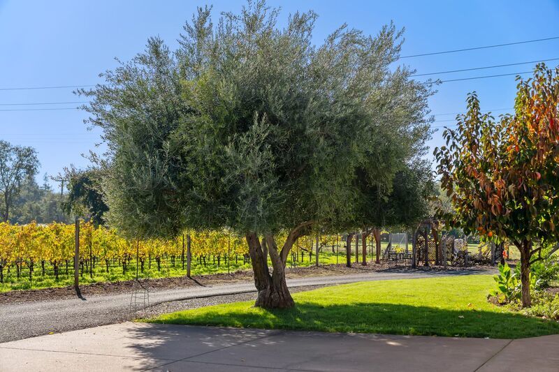 Monticello Road Home with Scenic Vineyard Views property image