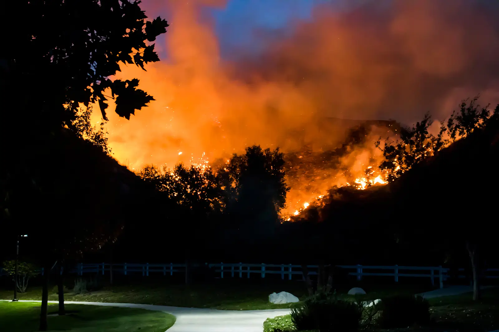 Wildfire Season Isn't Over: Insurance, Defensible Space, and Preparedness Steps for Wine Country Rental Owners