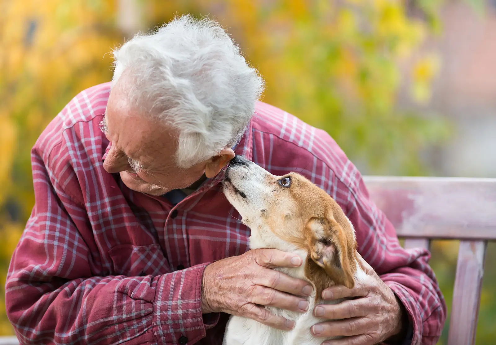 Handling Emotional Support Animal Requests the Right Way in California