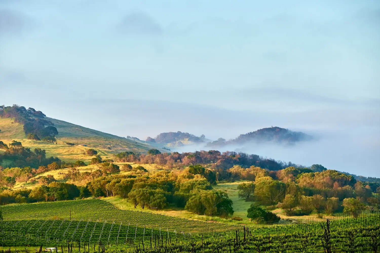 Napa Property Management