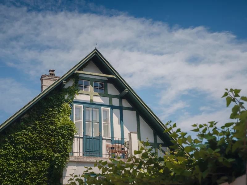 Napa Valley Properties